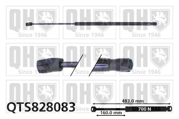 QTS828083