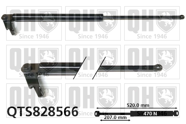 QTS828566
