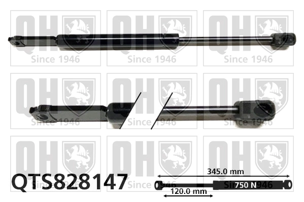 QTS828147