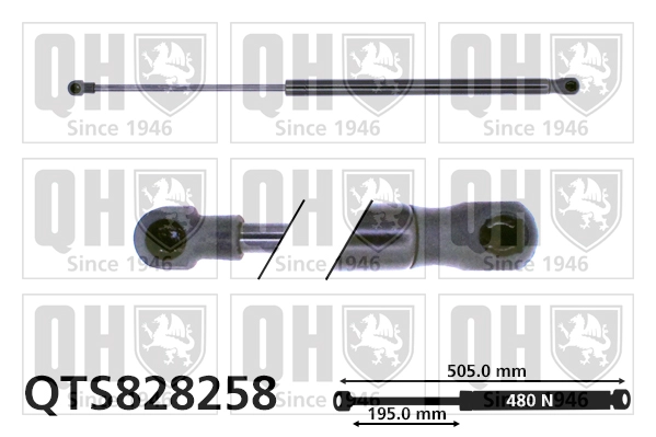 QTS828258