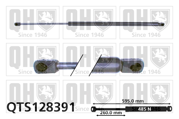 QTS128391