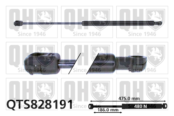 QTS828191