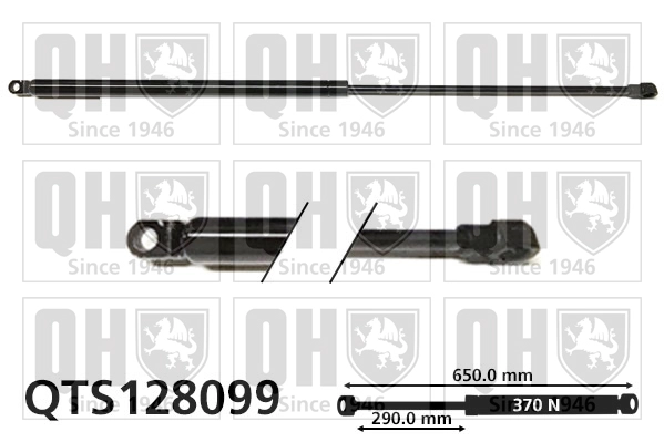 QTS128099