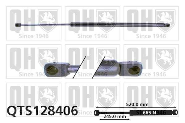 QTS128406