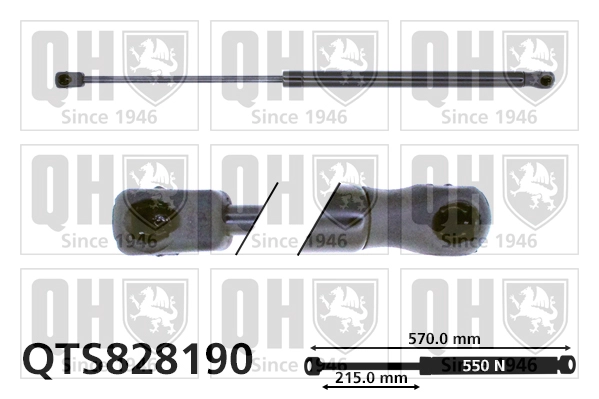 QTS828190