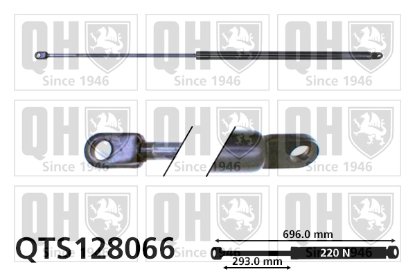 QTS128066