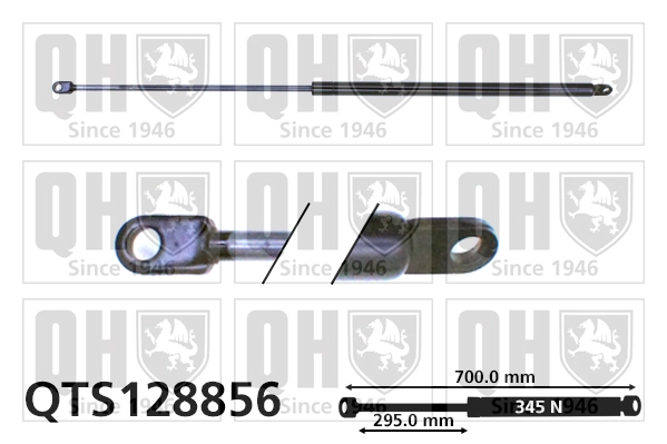 QTS128856