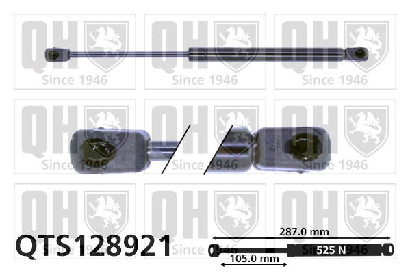 QTS128921