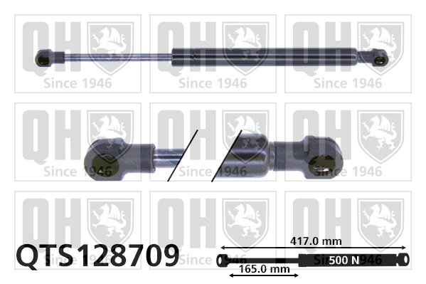 QTS128709