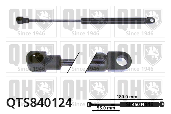 QTS840124