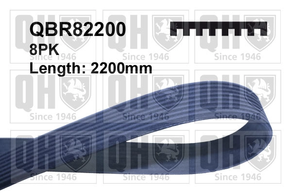 QBR82200