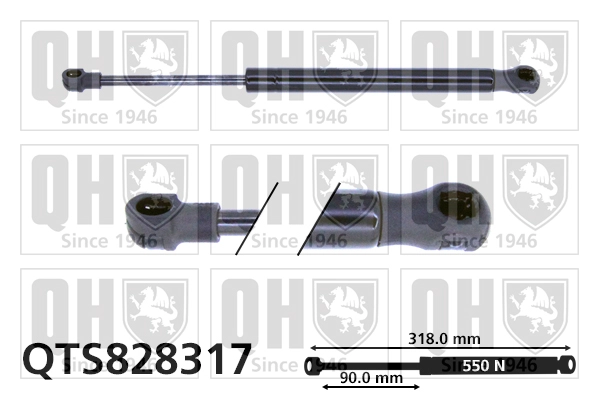 QTS828317