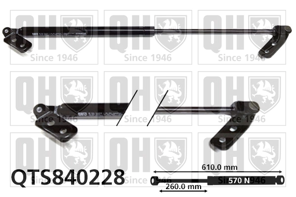QTS840228