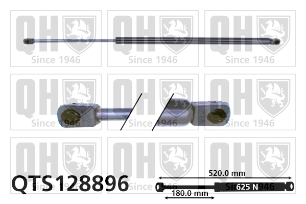 QTS128896