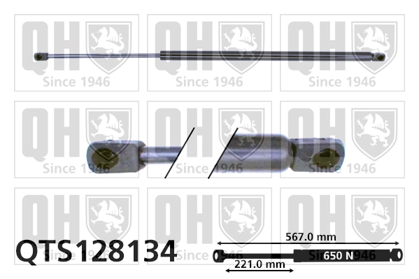 QTS128134