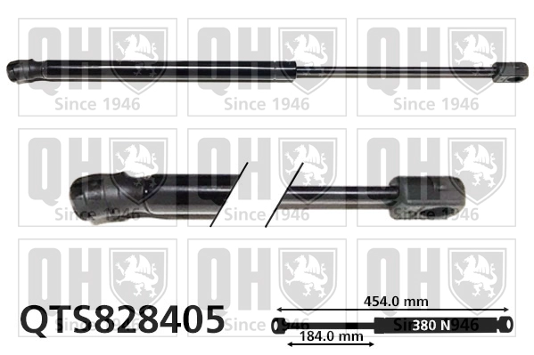 QTS828405