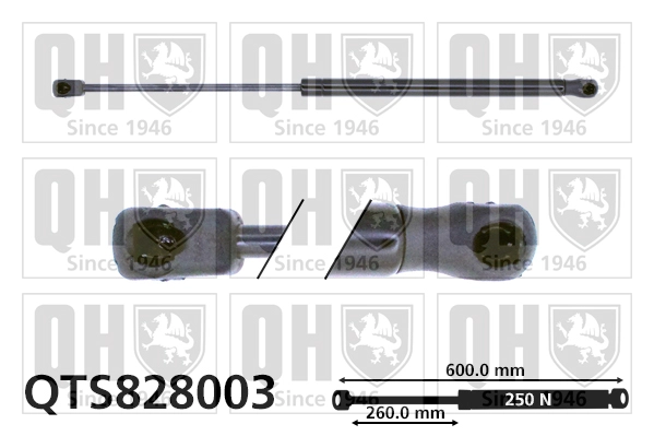 QTS828003