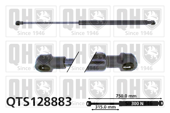 QTS128883