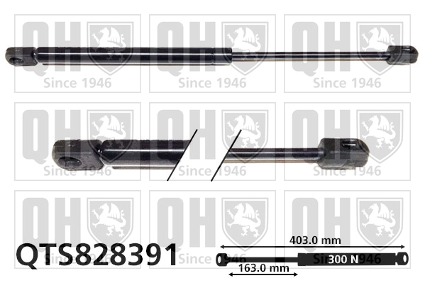 QTS828391
