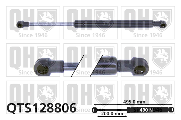 QTS128806
