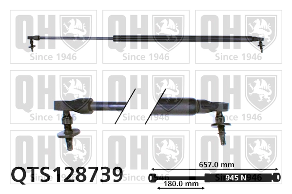 QTS128739