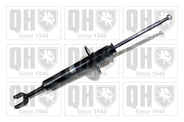 QAG179804
