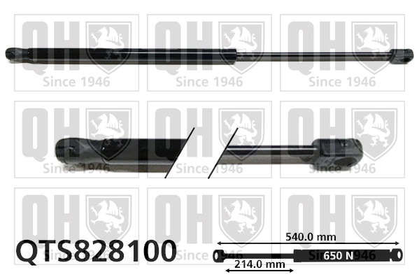 QTS828100