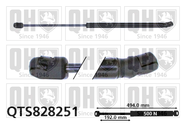 QTS828251