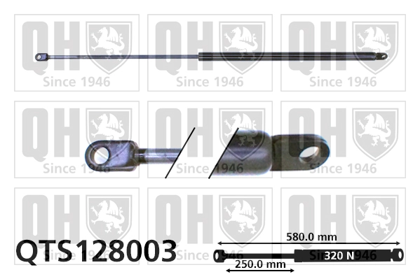 QTS128003