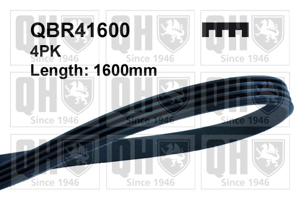 QBR41600