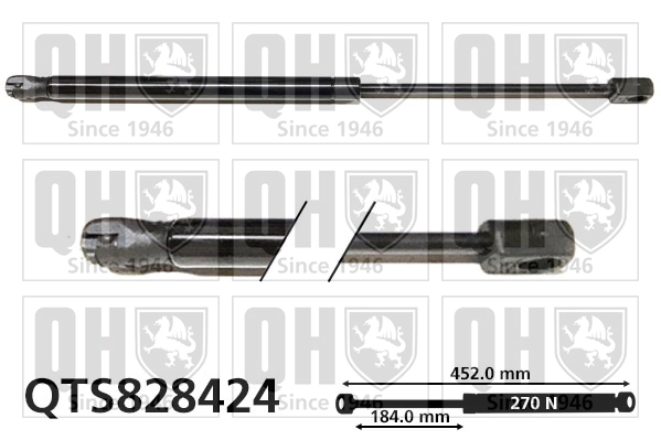 QTS828424