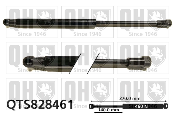 QTS828461