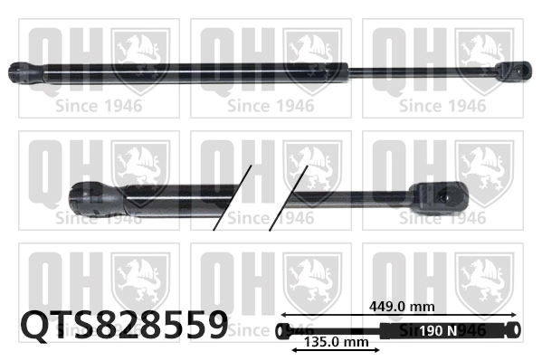 QTS828559