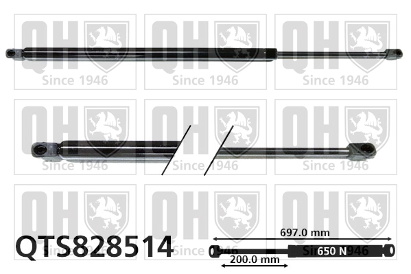 QTS828514