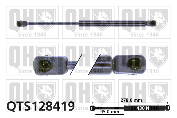 QTS128419