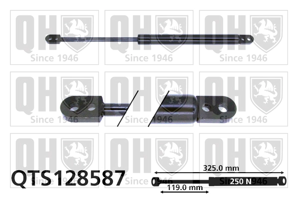 QTS128587