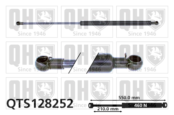 QTS128252