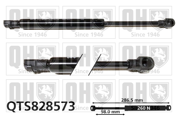 QTS828573