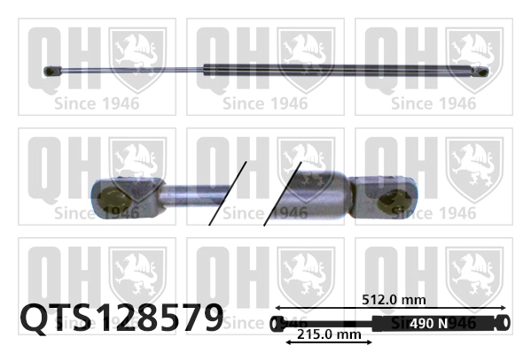 QTS128579