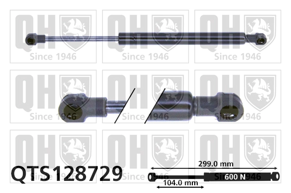 QTS128729