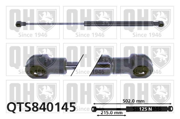 QTS840145