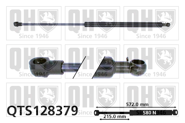 QTS128379