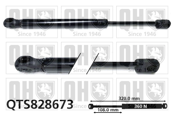 QTS828673