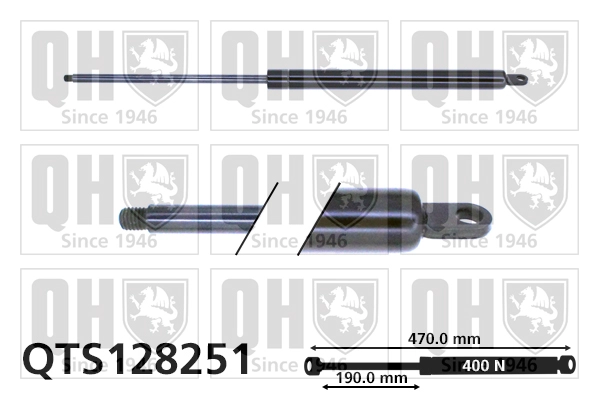 QTS128251
