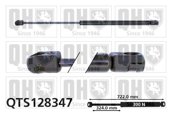 QTS128347