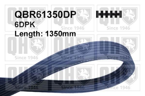 QBR61350DP
