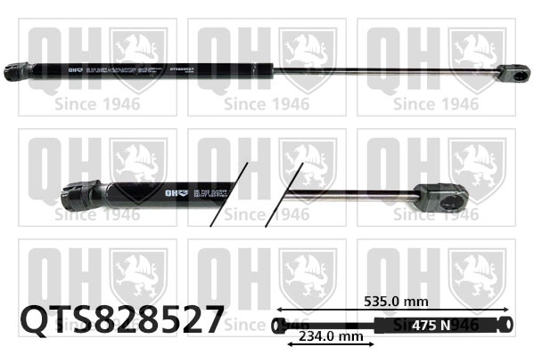QTS828527