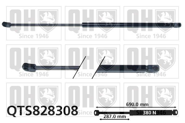 QTS828308