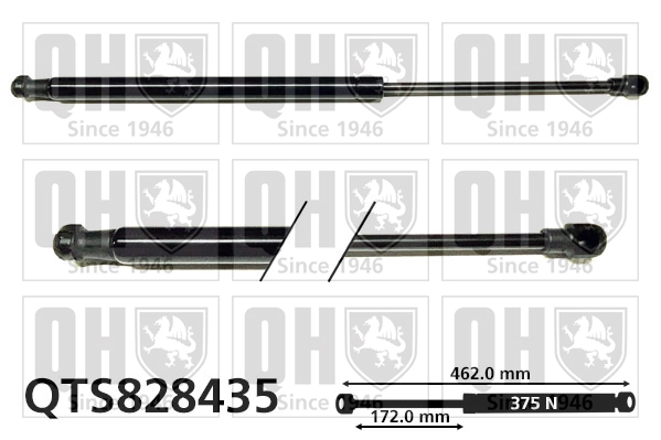 QTS828435