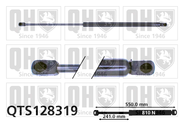 QTS128319